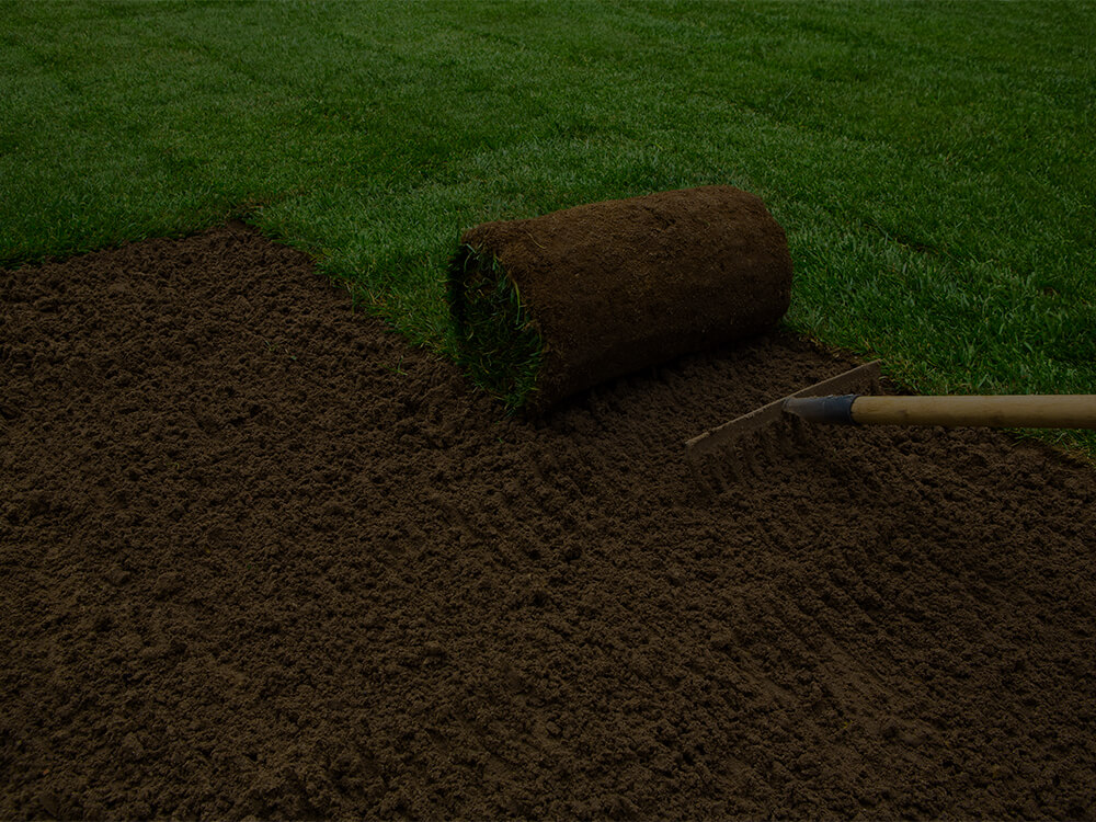 Sod Installation
