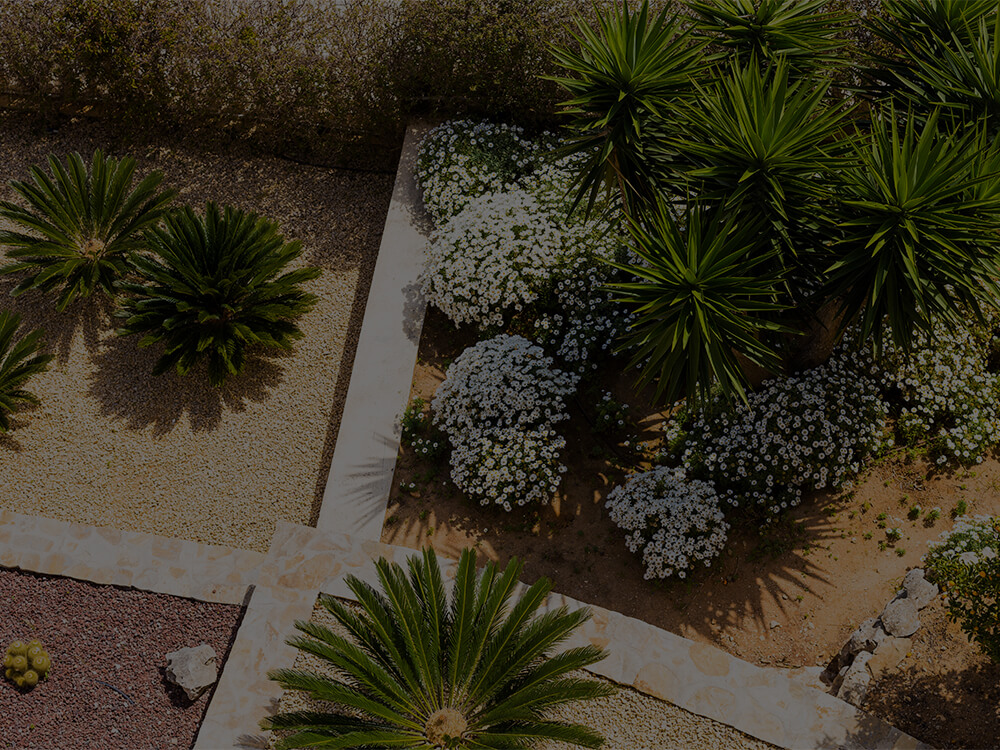Xeriscape Landscaping